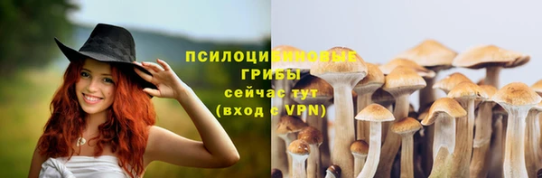 эйфоретик Наволоки