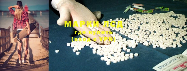 стаф Михайловск