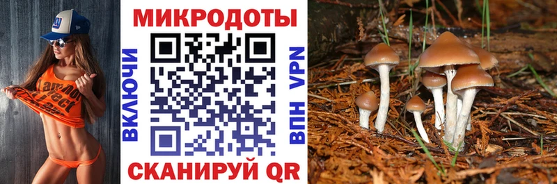Псилоцибиновые грибы ЛСД  гидра рабочий сайт  Правдинск 