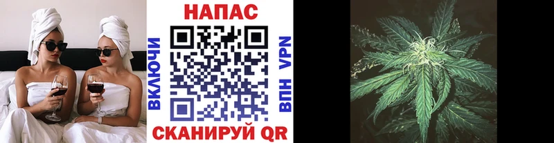 Шишки марихуана индика Правдинск